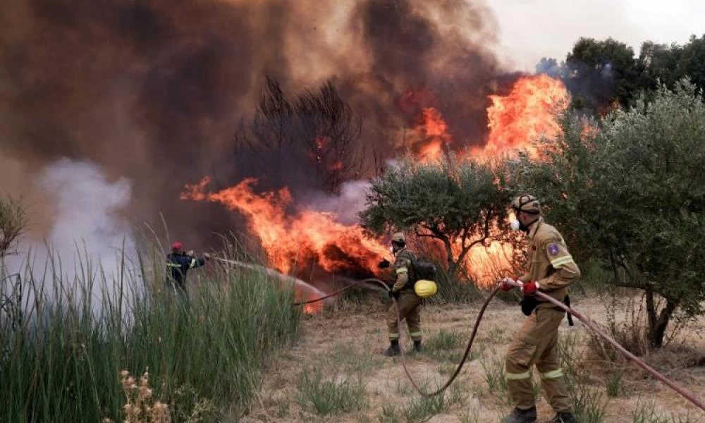 Μεσσηνία: Υπό μερικό έλεγχο η φωτιά στις Βουφράδες